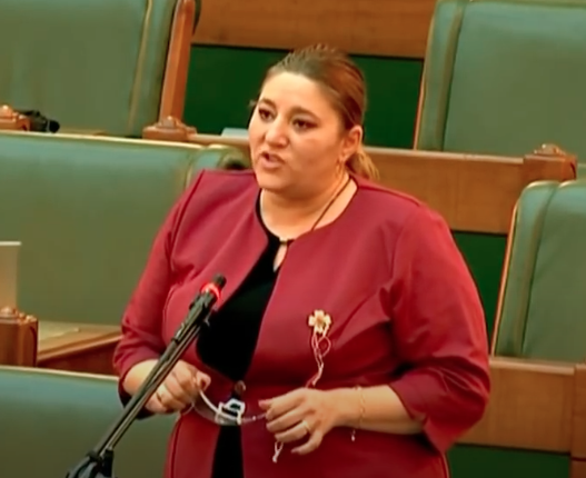 Diana Șoșoacă Senator